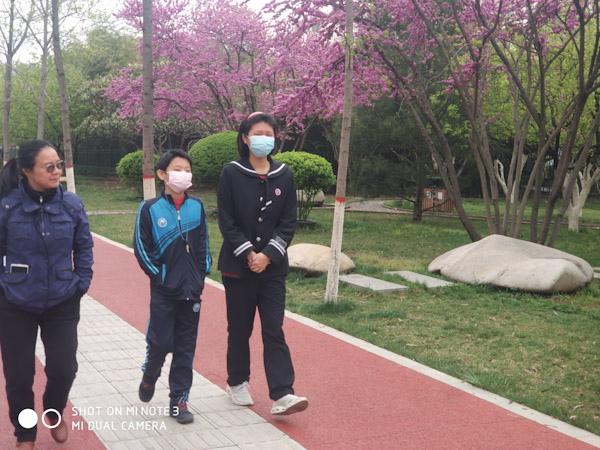 看樱花
高新小学附近街道的绿化树是樱花，语馨一直惦记过来看看。这几天小区里的樱花开了，就出来赏花。
