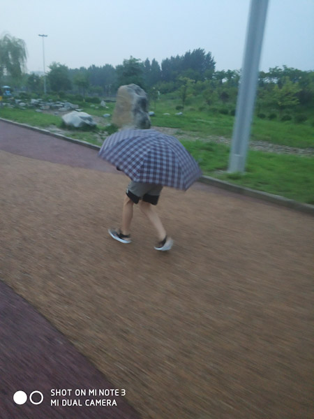 会走的伞
再次雨天到渭河散步，河道的风比较大，为了减少阻力，映辰弯着腰打着伞。
