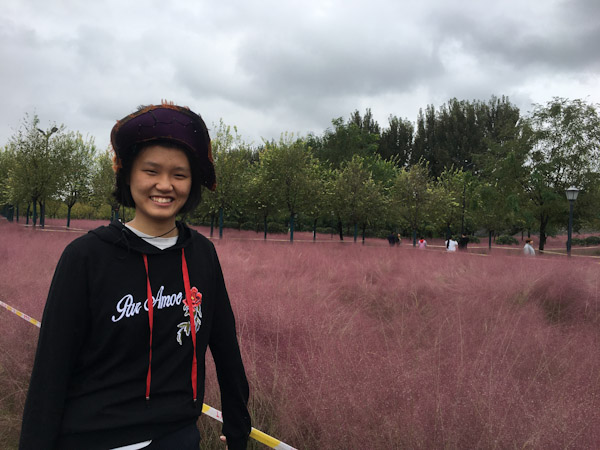 粉黛乱子草
冒着小雨培小姨一家逛渭河湿地公园，忽见一片梦幻般的粉黛乱子草。
