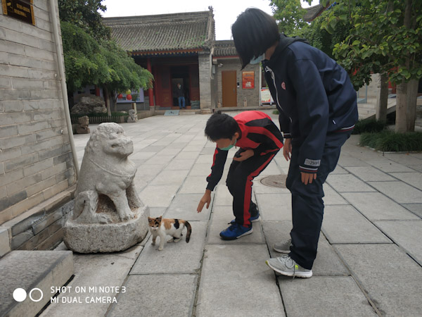 博物馆里的猫
咸阳博物馆里面有一只瘦骨嶙峋的小猫，看着很可怜。
