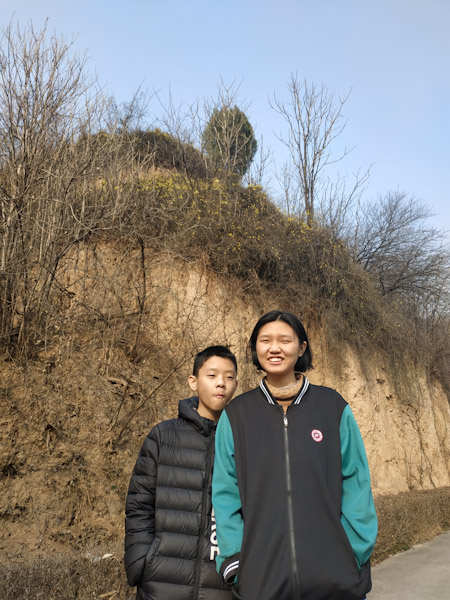 迎春花开了
大年初一出来踏青，计划从帅家走到茂陵。今年天气暖和，迎春竟然开这么早。
