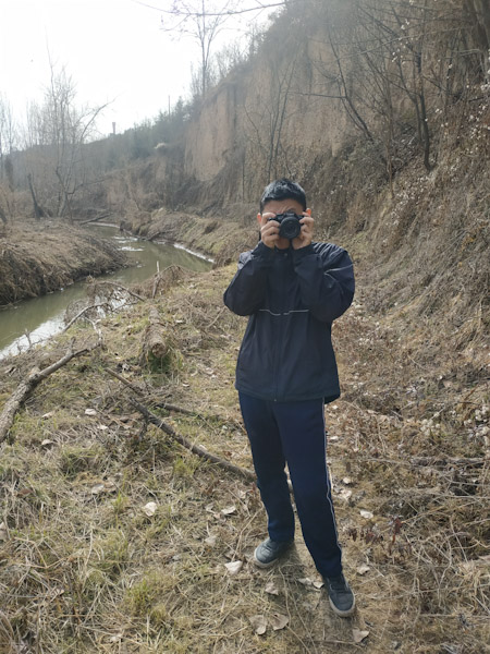 废弃的步道
昨天去周至水街，人太多了。今天打算找个人少的地方——金仙观逛逛。把车停在洛阳村西的桥头，从湋河边的步道去金仙观。几年没过来，步道竟然荒废了，河边的大树都被砍了。
