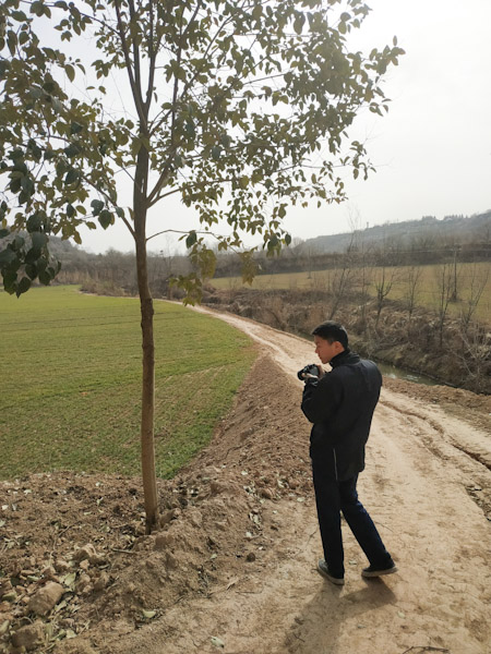 冬小麦
艰难地走出湋河边的步道，过了湋河上的桥，北岸的麦地绿油油的一片。
