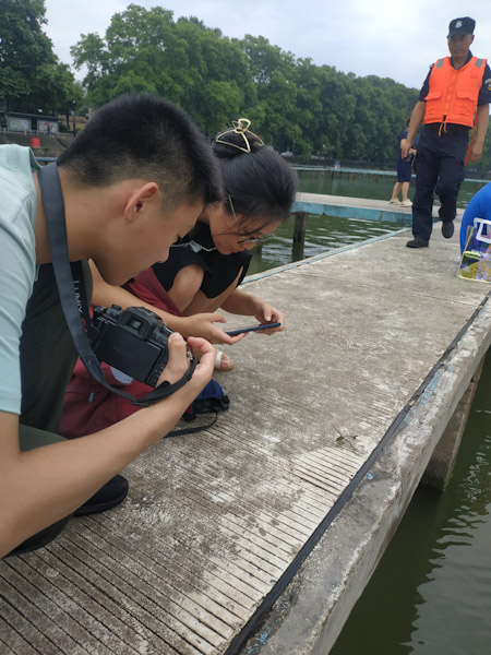 武汉大学凌波门游泳场
在这里看见一只奇怪的蜻蜓。它只用四条腿站立，另外两条腿在眼睛两侧象雨刷一样。
