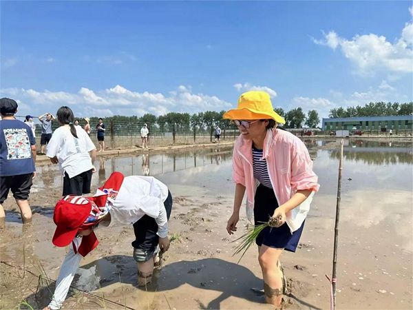 插秧
去鄂州的杂交水稻基地实习。以前在家乡只见过小麦地和玉米地，水稻田只在火车上远远地眺望过，这回是第一次亲身下到水田里体验劳作。田里的水在太阳底下晒得滚烫，湿滑的淤泥从脚趾间穿过，感觉非常奇妙。
