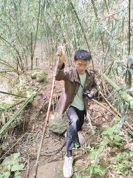 去往张龙水库的山路
昨天还下雨，所以从安乐宫到张龙水库的路比较难走。好在这里的竹林很好看。
