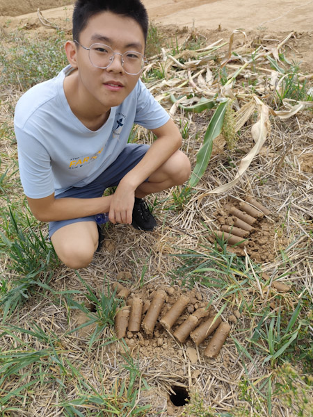 周原的探洞
考古挖坑的周围还有新鲜的探洞，都是用洛阳铲挖的。
