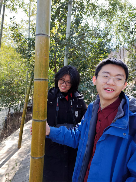 竹子
张龙水库边上的公园，路边的竹子上都刻上了到此一游之类的文字。
