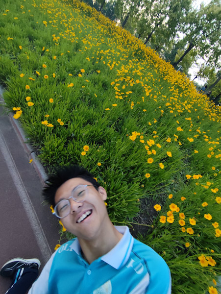 花海
吃完晚饭到渭河边散步，看见路边有一大片类似菊花的花。
