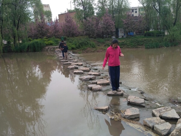 七星河湿地公园
没想到扶风竟然有个七星河国家湿地公园，这条河就是七星河，往下流到湋河。
