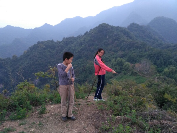 野葱
爬到山的中间竟然下雨了，在树下避雨吃东西。雨停了之后，很快就到了山顶。这里的路似乎修了，路边长了很多野葱。
