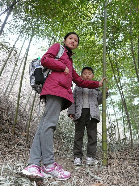 竹林
从安乐宫往张龙水库走，需要穿过很长一片竹林。在欣赏竹子的时候河对面传来奇怪的动静，不知道是什么野生动物。
