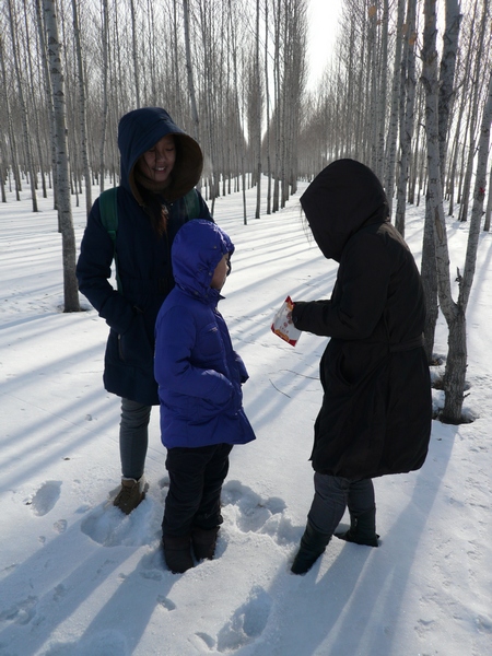 大坝外
以前的荒地栽上了树，树林里面的雪保存完好，只有一些动物的脚印。
