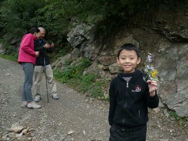 野花
在去往共兴村的山路上，到处都是开放的野花。
