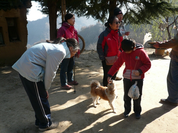 王婆寺的狗
吃完午饭，来到王婆寺。春天来时遇到的狗，其中一只厉害的已经不见了，师傅说是被豹子吃了。
