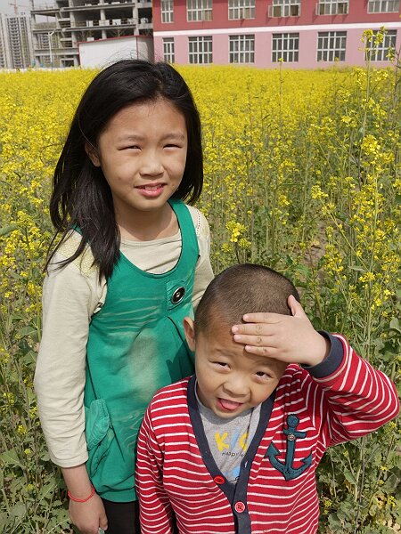 油菜花
校园里的油菜地，开满了油菜花。其实看油菜花完全不用去汉中。
