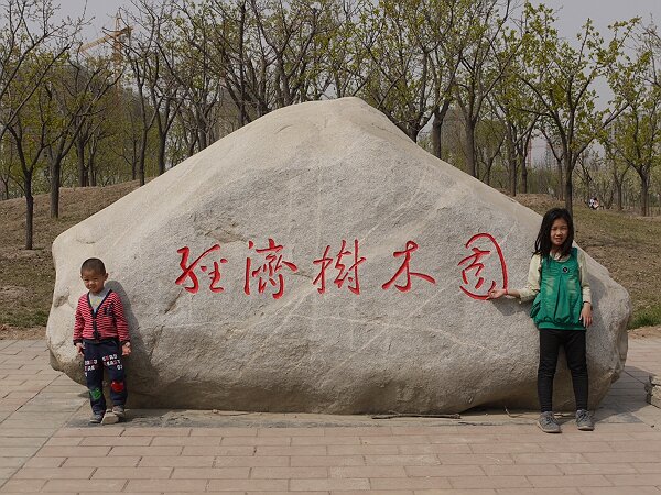 经济树木园
南校区不知道什么时候圈起一个经济树木园。
