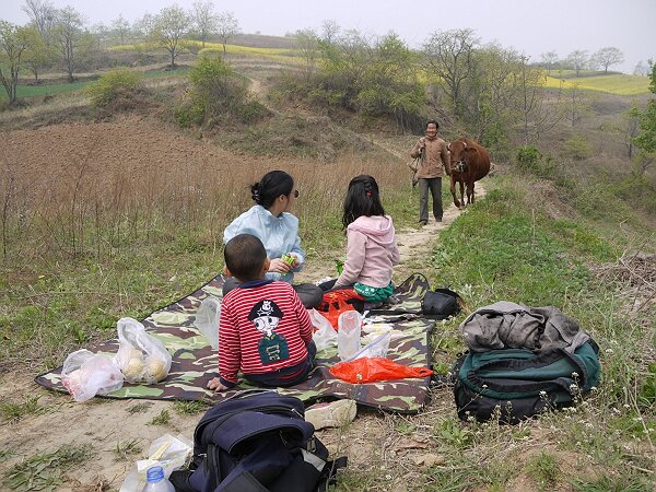 午餐
从小庙上来，沿着另一条路进山，经过了几栋房子之后找到了一块平坦的地方吃午餐，正吃着，过来一个农妇牵着一头牛，语馨和映辰惊奇地看着老牛从毯子边走过。
