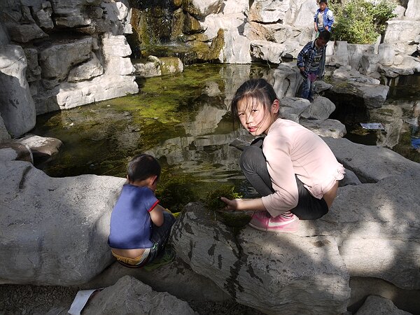 捞水草
五台山水池里有不少水草，捞了一些回家养在鱼缸里。
