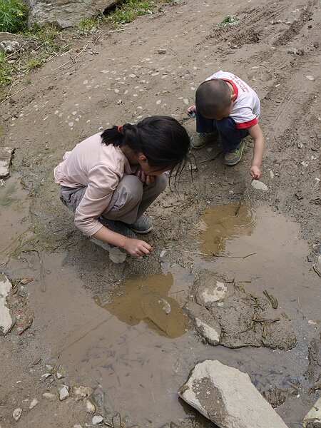 蝌蚪
水泥路结束之后是土路，路上的水坑有很多蝌蚪。我们回来的时候捞了一些，结果在聚仙台度假村的时候被别人拿走了。
