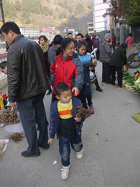 佛坪早市
吃完早饭，逛逛佛坪早市，语馨买了两把拐枣，旁边一个小贩说再过一段时间，拐枣会更甜，其实我们觉得现在就很甜了。
