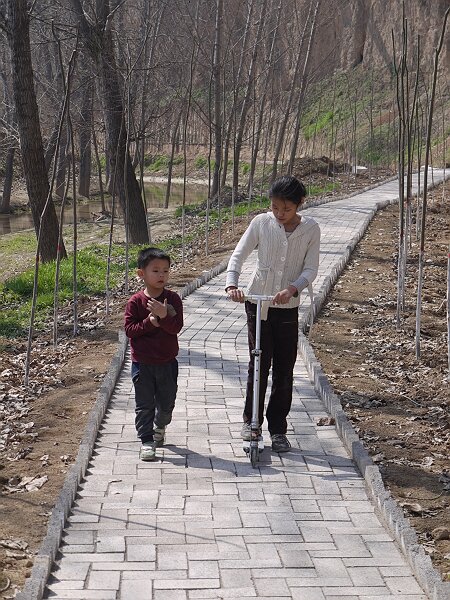 幽静的小路
缓行林荫小路，沐浴和煦阳光。
