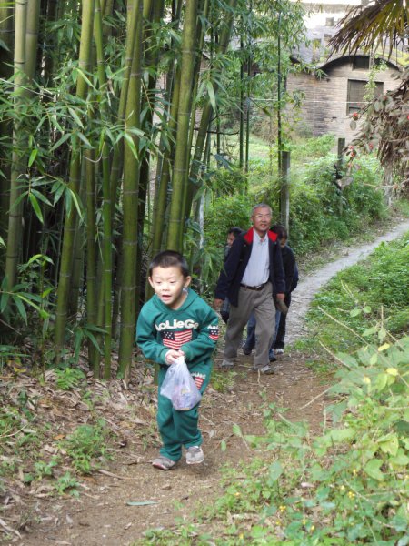 去佛光寺
这次出来就是为了休闲，所以全天的计划就在佛坪县城。从县城看最高到人工建筑是佛光寺的大佛，问了路后开始上山。小路经过了几个农家，路边到竹林很有情调。
