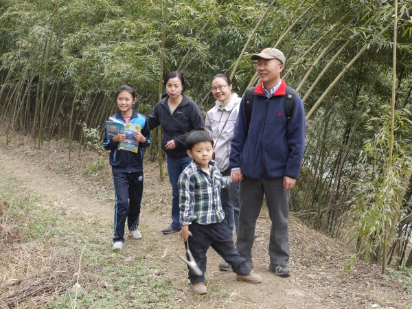 竹林
从张龙水库北侧小路进山，竹林依旧浓密。由于是初春，估计蛇还没出来，大家心情都比较轻松。
