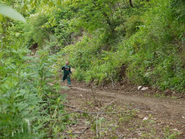 害怕了
下山的时候映辰说什么也不走了，没办法大家扔下映辰径自下山，留下映辰嚎啕大哭，哭了半天没人理，吓得慌慌张张往山下跑。
