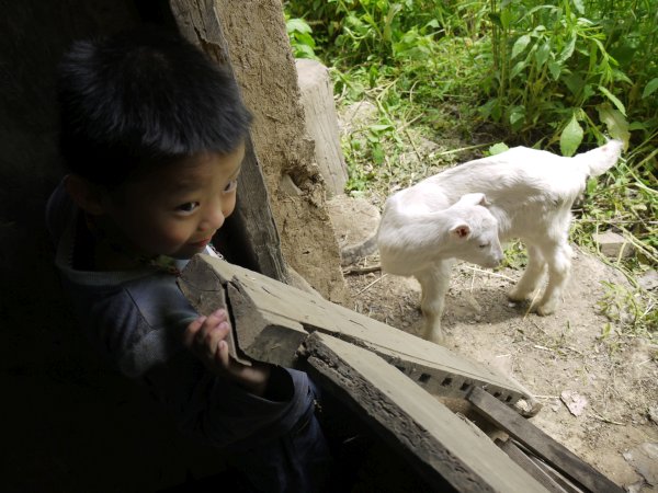 小山羊
上次来的时候碰到一个承包这片山的人，我们午休的时候他过来喊我们去他的房子看看。这些羊是刚运上来的。
