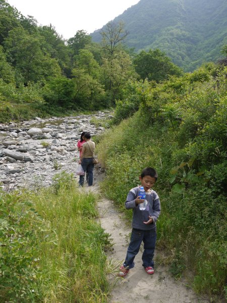 骆峪河
骆峪河里一群一群的小鱼，应映辰的要求，捞了几条回家养着。这种鱼对水的溶氧要求很高，估计养不活。
