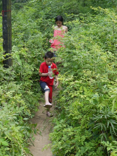 路上的草
夏天草长得太快，路都快被封死了。
