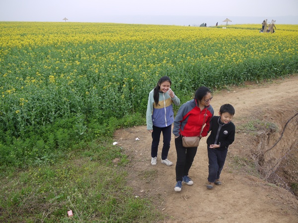 武功油菜花
听说武功正在建丝绸之路文博园，万亩油菜花正在开放，清明节开车过去赏花，规模确实不小。
