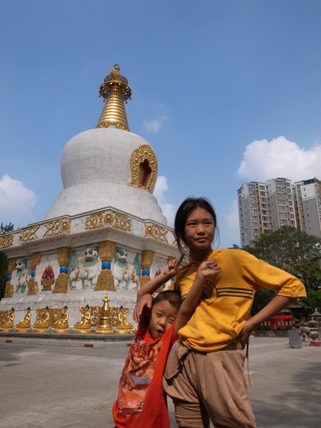 北塔
吃完中午饭，下午计划参观护国法轮寺。这个寺庙是藏传佛教的，始建于清崇德八年(1643年)，竣工于清顺治二年(1645年)是清太宗皇太极敕建的沈阳城外东、西、南、北的四塔四寺之一。寺庙的最里面就是这个白塔，
