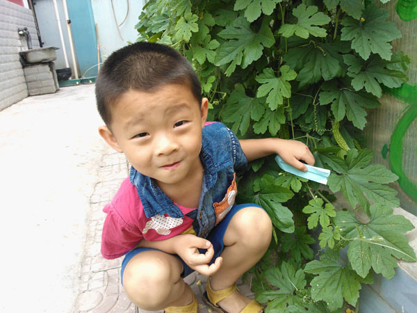 幼儿园的最后一天
马上就要离开幼儿园了，再看看院子里种的苦瓜。
