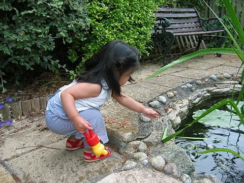 喂鱼
自从掉进鱼池之后，很久都不到鱼池边溜达。现在又敢喂鱼了，只是和鱼池保持一定距离。另外，这是留长头发的最后一张。
