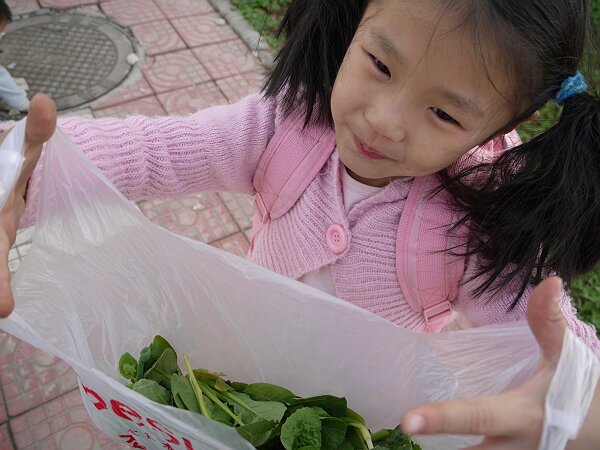 采油菜
一家浩浩荡荡去采荠菜，没有找到地方，回来的时候在校园的草地里掐了一些油菜。
