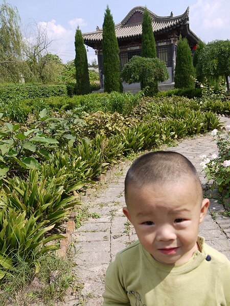 滥竽充数的花园
太真阁后面是个供送子观音的庙，庙的旁边是个小园林，粗看里面种的是牡丹，可仔细一看，里面种了不少茄子辣椒西红柿。
