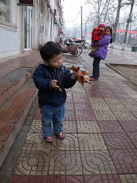 捡树叶
街边的绿化树可能不适应这里的气候，很多叶子春天的时候才掉下来。映辰捡了一把叶子，引起另两个小孩围观。
