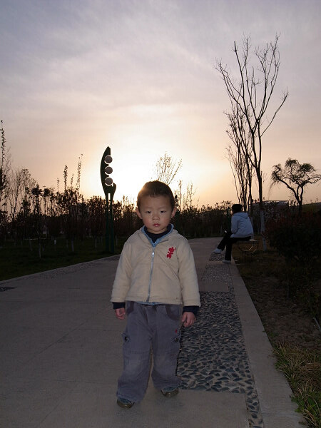 落日
在树木园里玩，夕阳暖暖地照在身上。（当时天空比照片亮很多）
