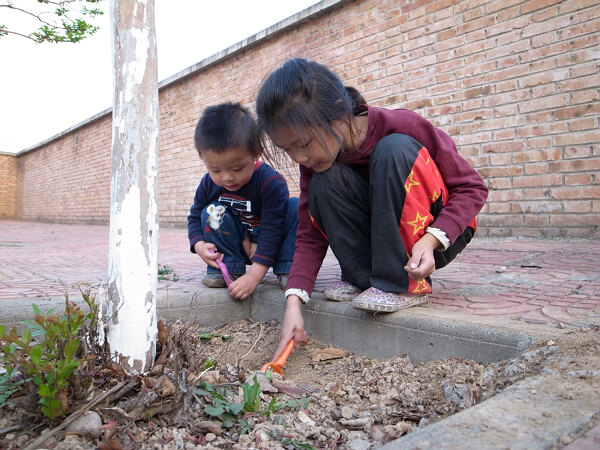 挖土
小区里的绿化树下，语馨用土埋了个什么东西，隔几天就要挖出来看看。
