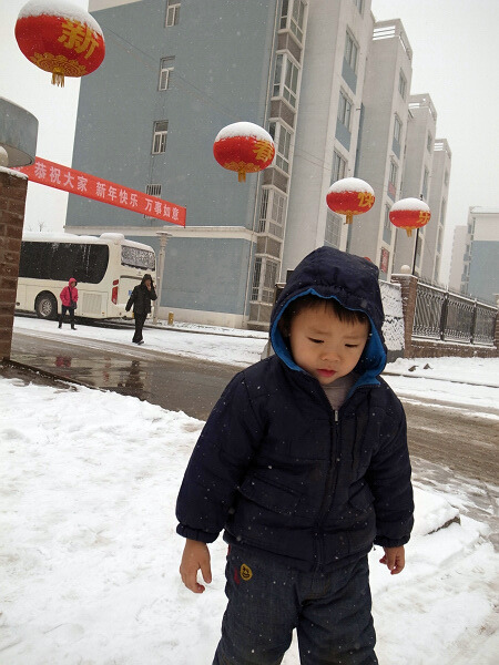 小区门口
要过年了，前天物业挂上了灯笼，雪落在灯笼上，很有春节的气氛。
