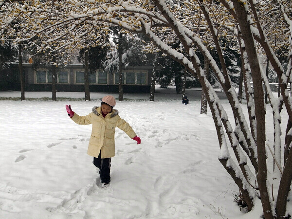 雪映梅花
北校区腊梅花开得满树都是，恰好下雪，蛮有诗意。
